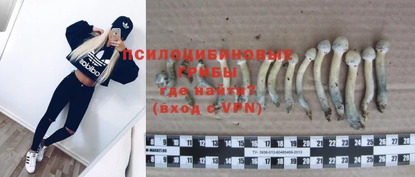 дживик Кинешма