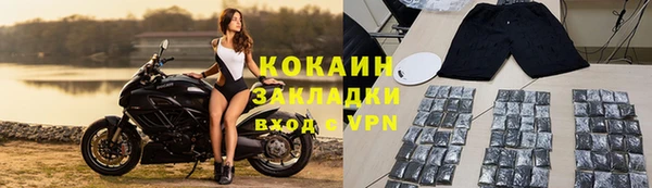 дживик Кинешма