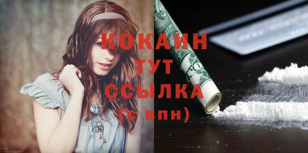 дживик Кинешма
